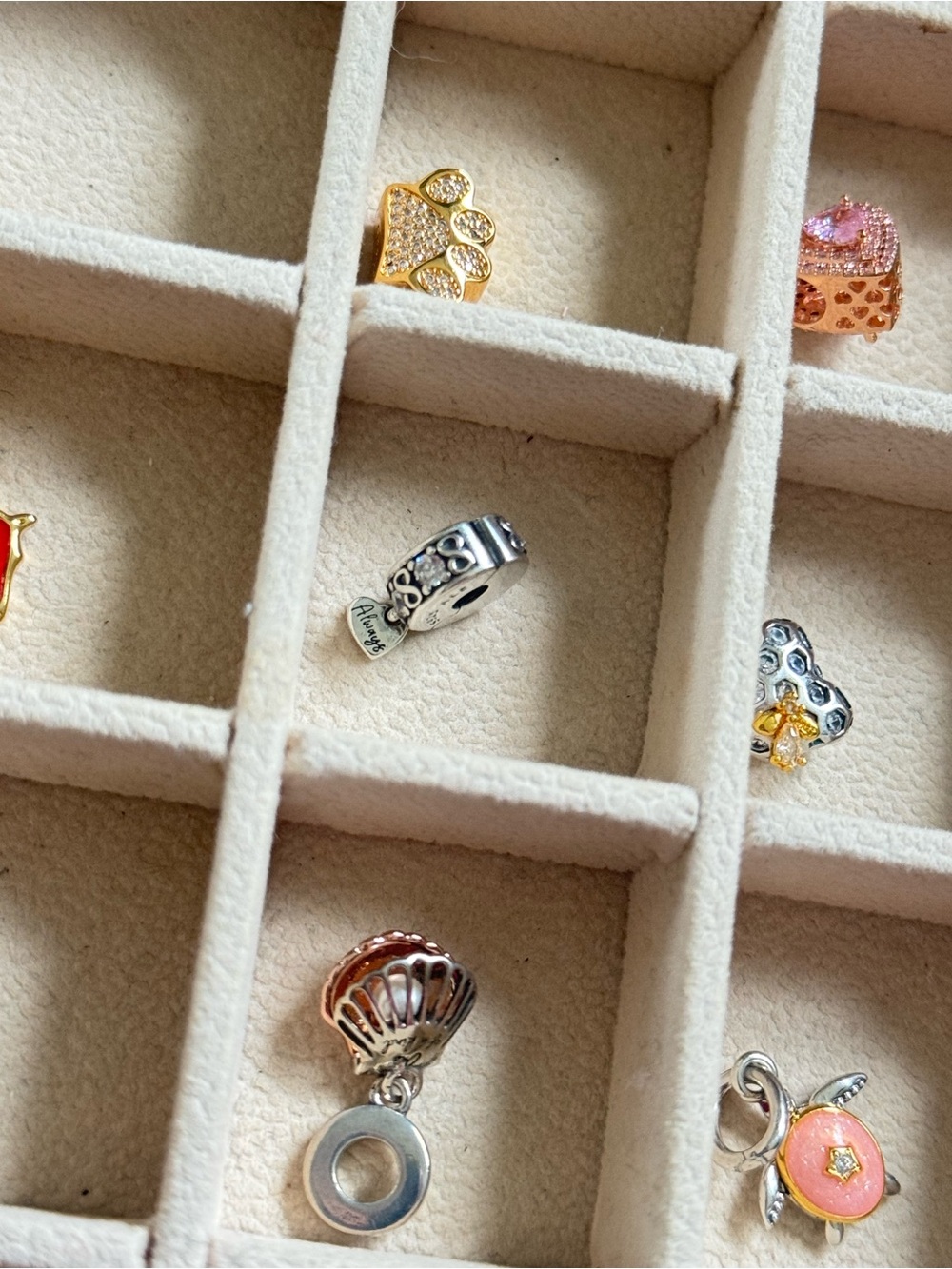 Pandora family always clip charm